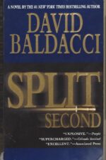 Sean King & Michelle Maxwell #1: Split Second by David Baldacci