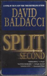 Sean King & Michelle Maxwell #1: Split Second by David Baldacci