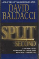 Sean King & Michelle Maxwell #1: Split Second by David Baldacci