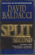 Sean King & Michelle Maxwell #1: Split Second by David Baldacci