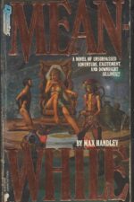 Meanwhile by Max Handley