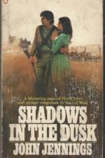 Shadows in the Dusk by John Jennings