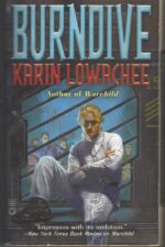 Warchild #2: Burndive by Karin Lowachee