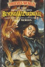 Thieves World Beyond Series #3: Beyond Wizardwall by Janet E. Morris