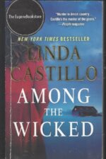 Kate Burkholder # 8: Among the Wicked by Linda Castillo
