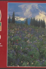 Big Ben - Paradise Falls Mt Rainier Washington